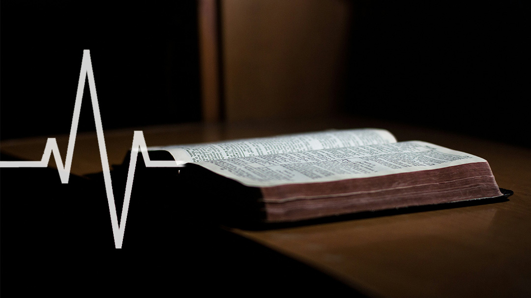 A Bible in a Carpet Store