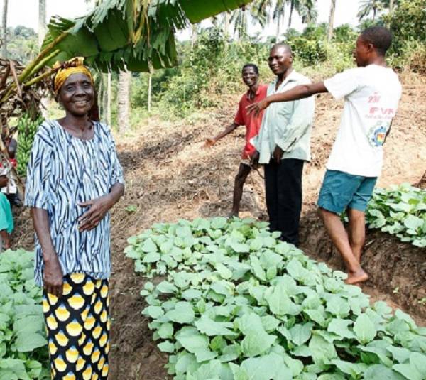 People farming in DRC