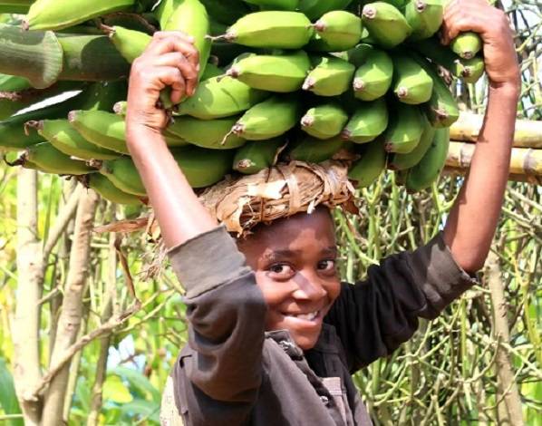 Girl carrying bananas in Rwanda